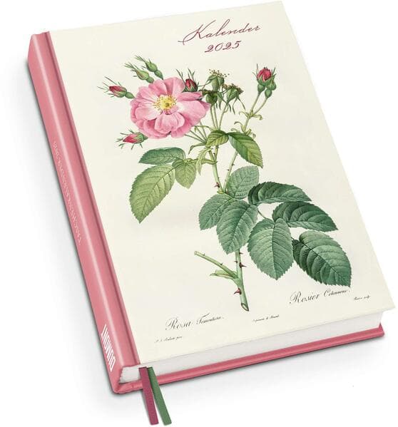 DUMONT - Redoutés Rosen 2025 Taschenkalender, Terminplaner mit Wochenkalendarium, zwei Läsebändchen