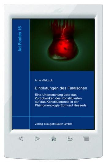 Einblutungen des Faktischen