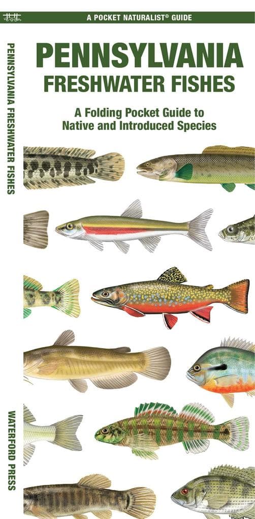 Pennsylvania Freshwater Fishes
