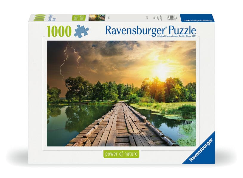 Erwachsenenpuzzle 1000 Teile - Mystisches Licht