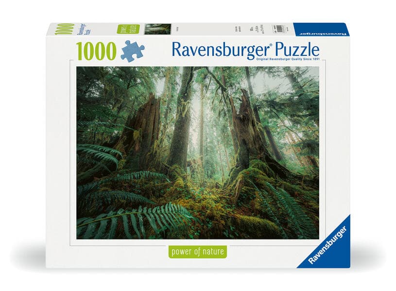 Erwachsenenpuzzle 1000 Teile - Faszinierender Wald