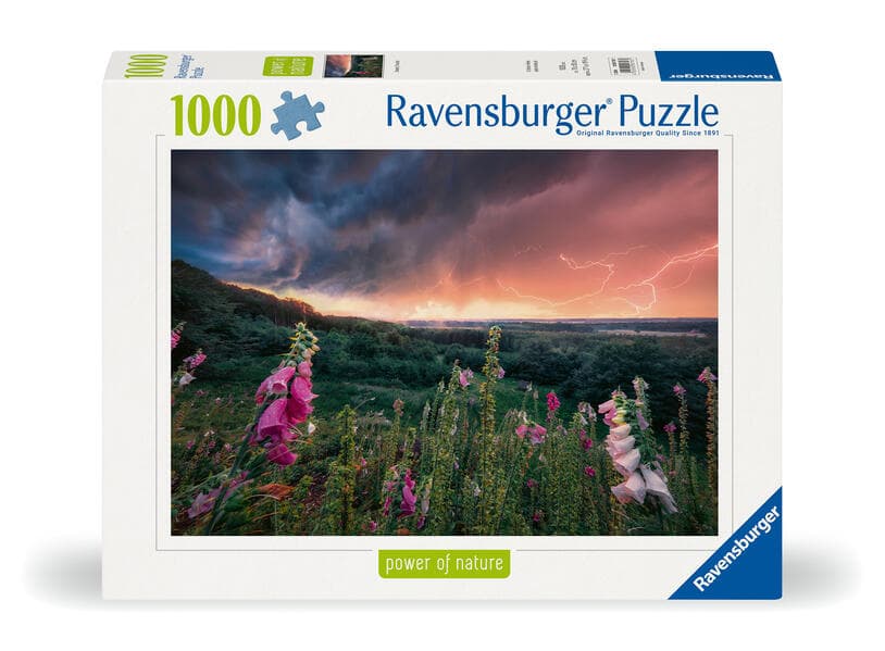 Erwachsenenpuzzle 1000 Teile - Ein Sturm zieht auf
