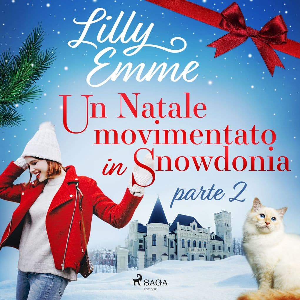 Un Natale movimentato in Snowdonia parte 2