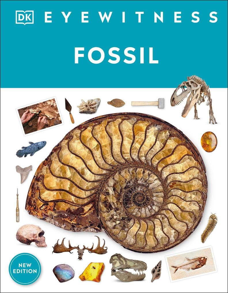 Fossil