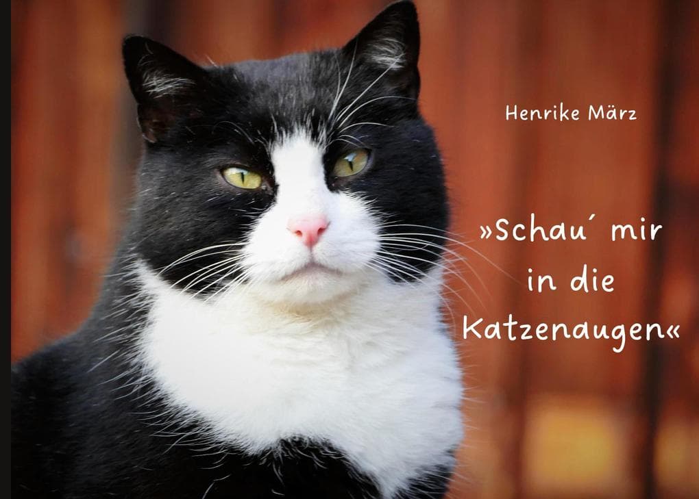 Schau mir in die Katzenaugen
