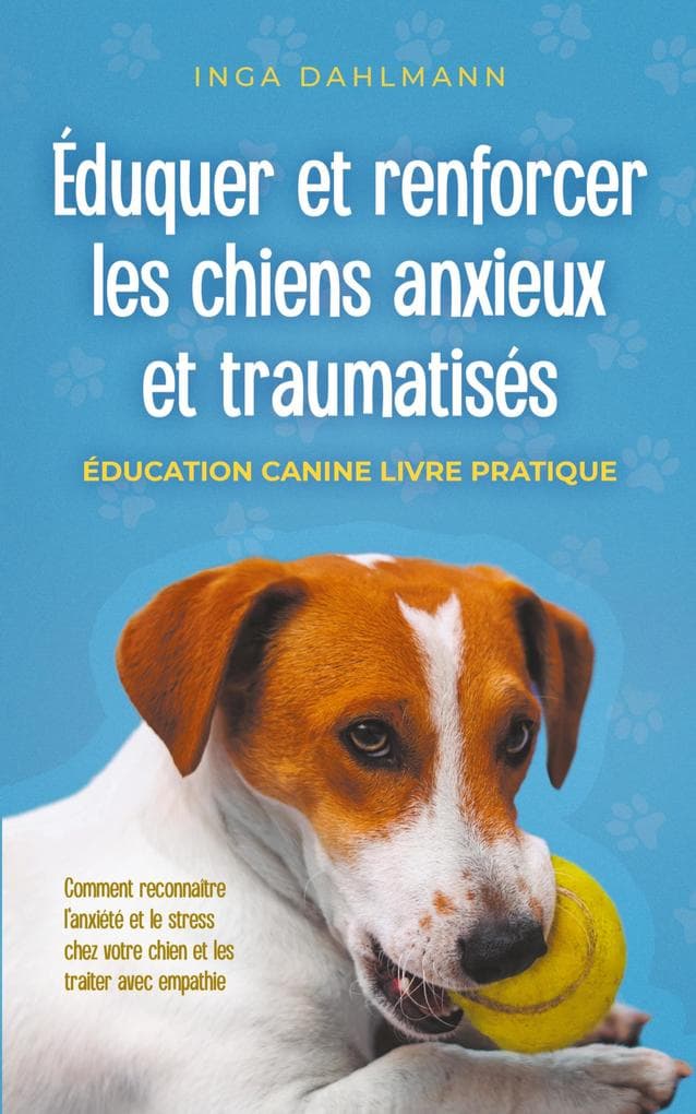 Éduquer et renforcer les chiens anxieux et traumatisés