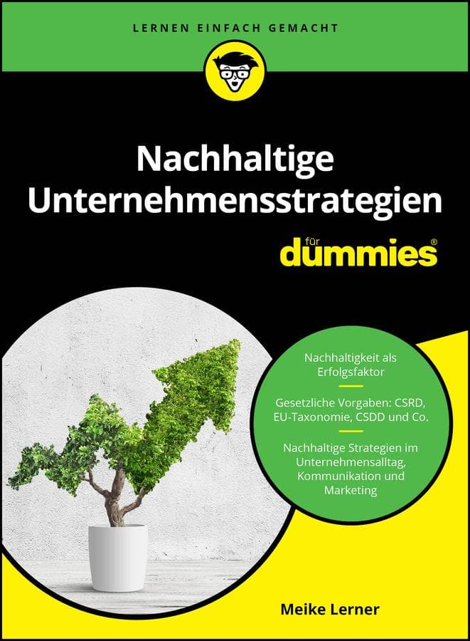 Nachhaltige Unternehmensstrategien für Dummies