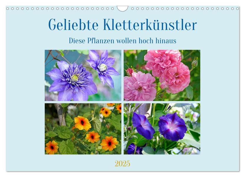 Geliebte Kletterkünstler (Wandkalender 2025 DIN A3 quer), CALVENDO Monatskalender