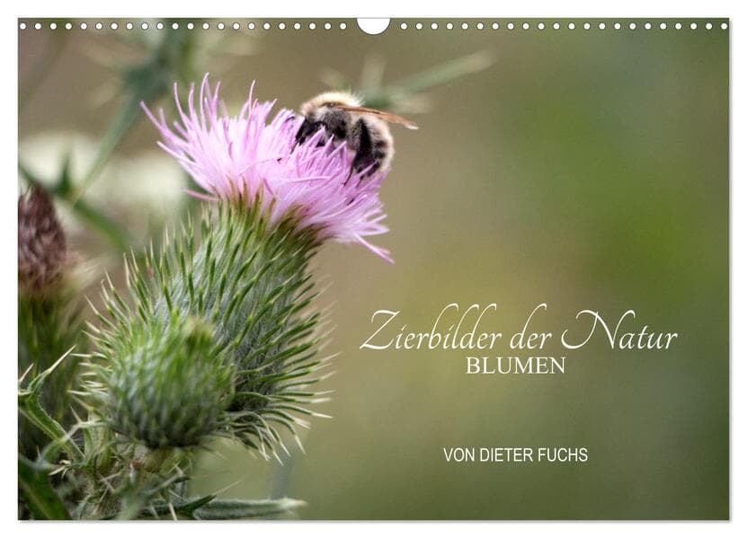 Zierbilder der Natur BLUMEN (Wandkalender 2025 DIN A3 quer), CALVENDO Monatskalender
