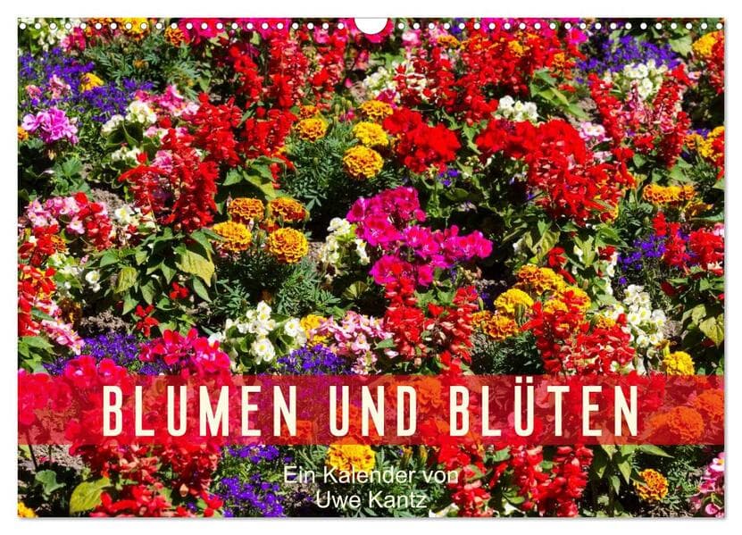 Blumen und Blüten (Wandkalender 2025 DIN A3 quer), CALVENDO Monatskalender