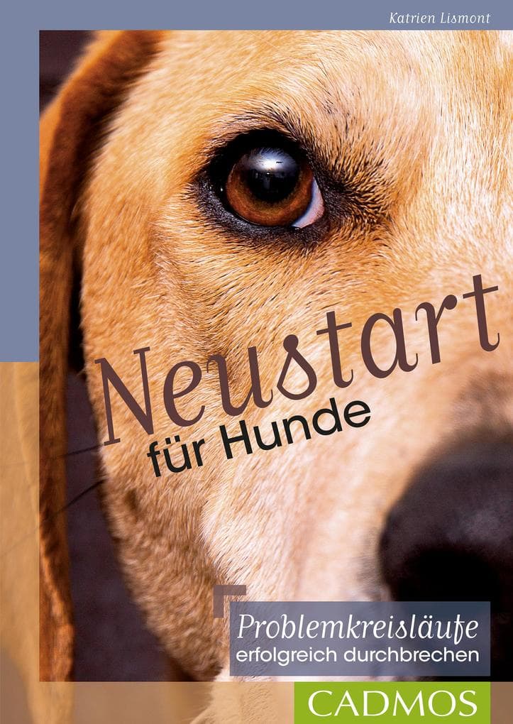 Neustart für Hunde
