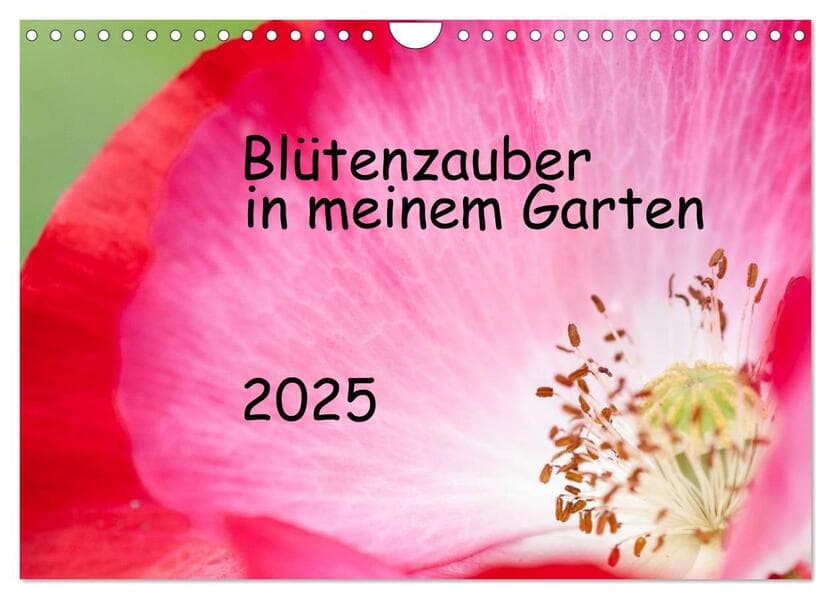 Blütenzauber in meinem Garten (Wandkalender 2025 DIN A4 quer), CALVENDO Monatskalender