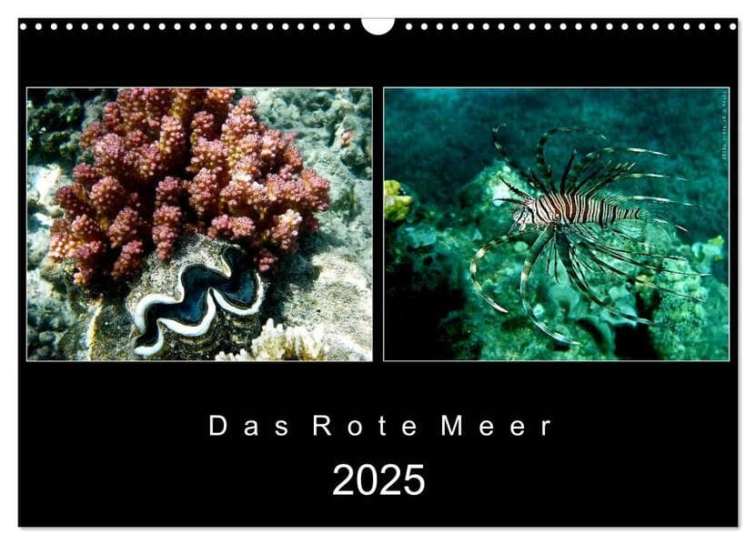 Das Rote Meer 2025 (Wandkalender 2025 DIN A3 quer), CALVENDO Monatskalender