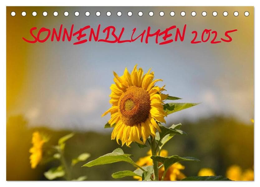 Sonnenblumen 2025 (Tischkalender 2025 DIN A5 quer), CALVENDO Monatskalender