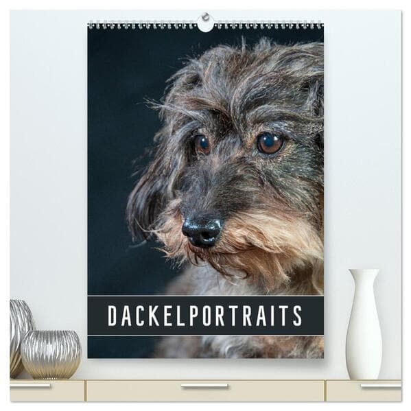 Dackelportraits (hochwertiger Premium Wandkalender 2025 DIN A2 hoch), Kunstdruck in Hochglanz