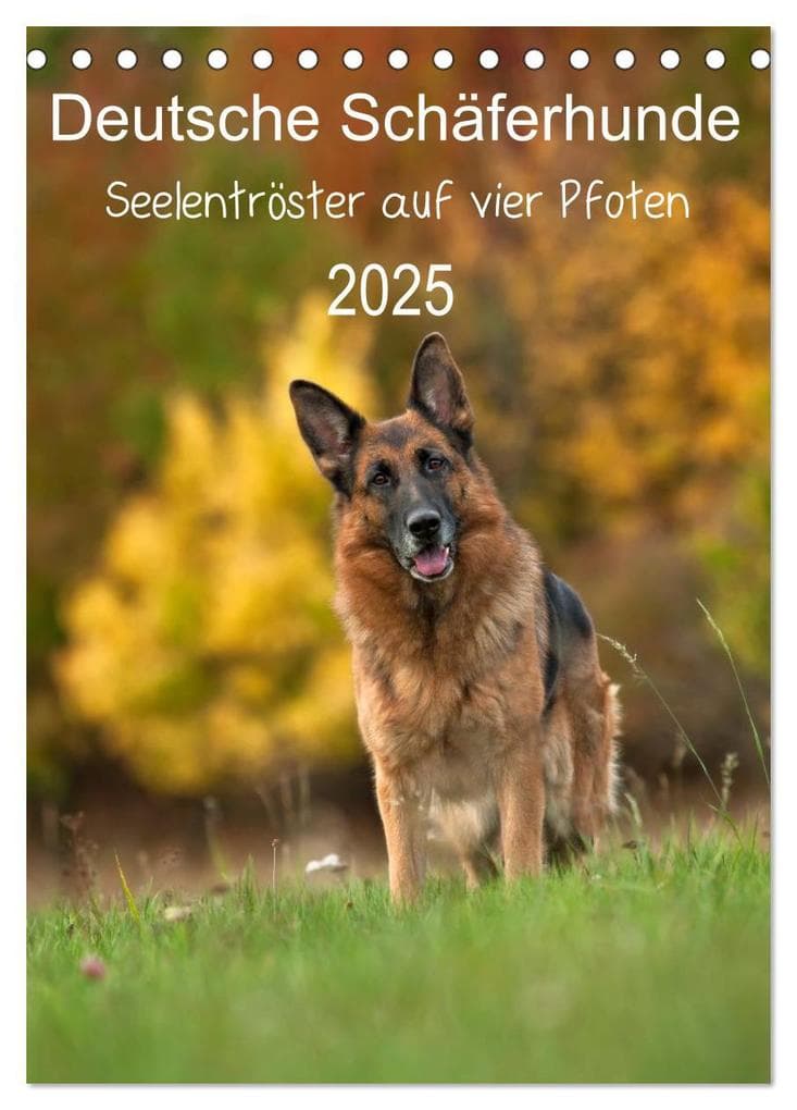 Deutsche Schäferhunde - Seelentröster auf vier Pfoten (Tischkalender 2025 DIN A5 hoch), CALVENDO Monatskalender