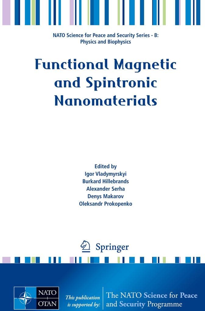 Functional Magnetic and Spintronic Nanomaterials