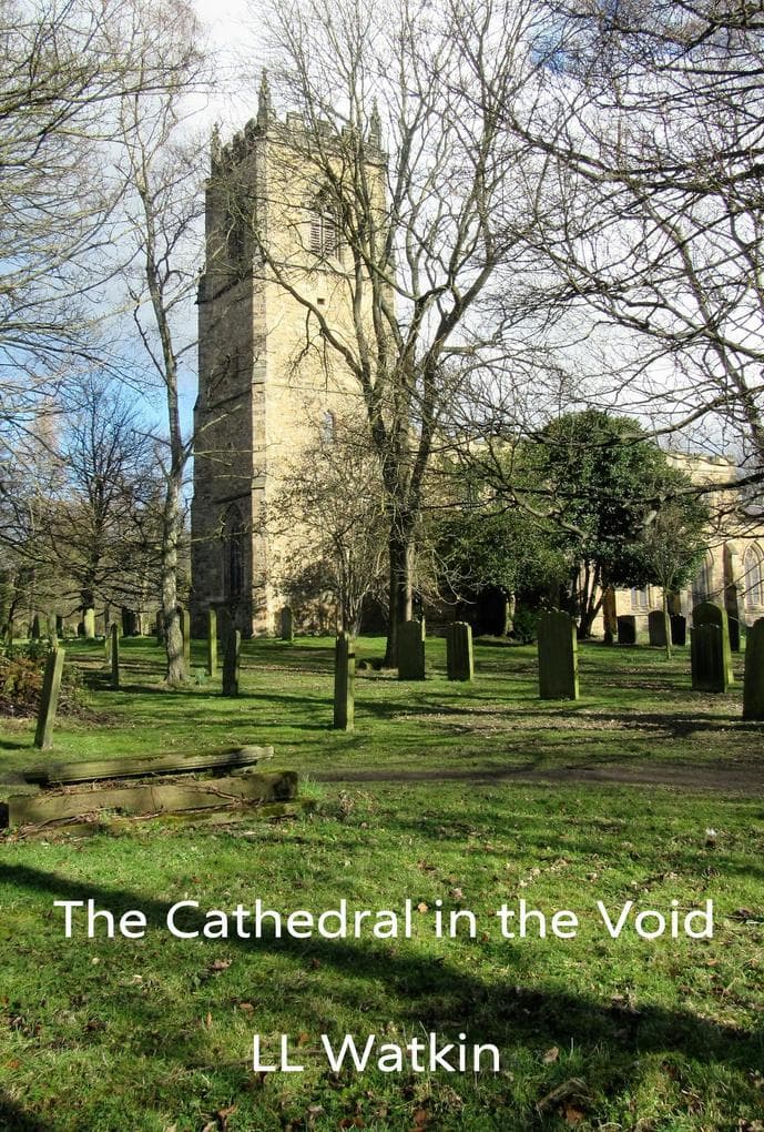 The Cathedral In The Void (The Handmaiden, #3)
