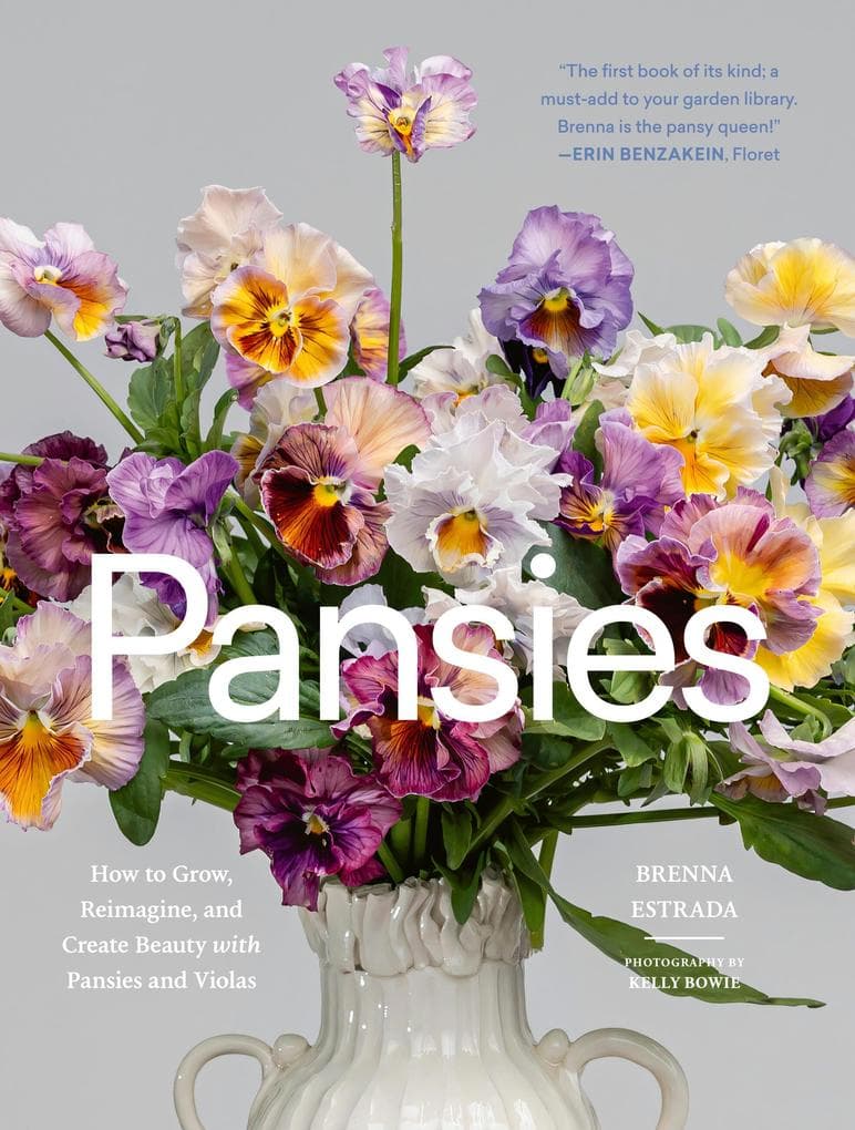 Pansies