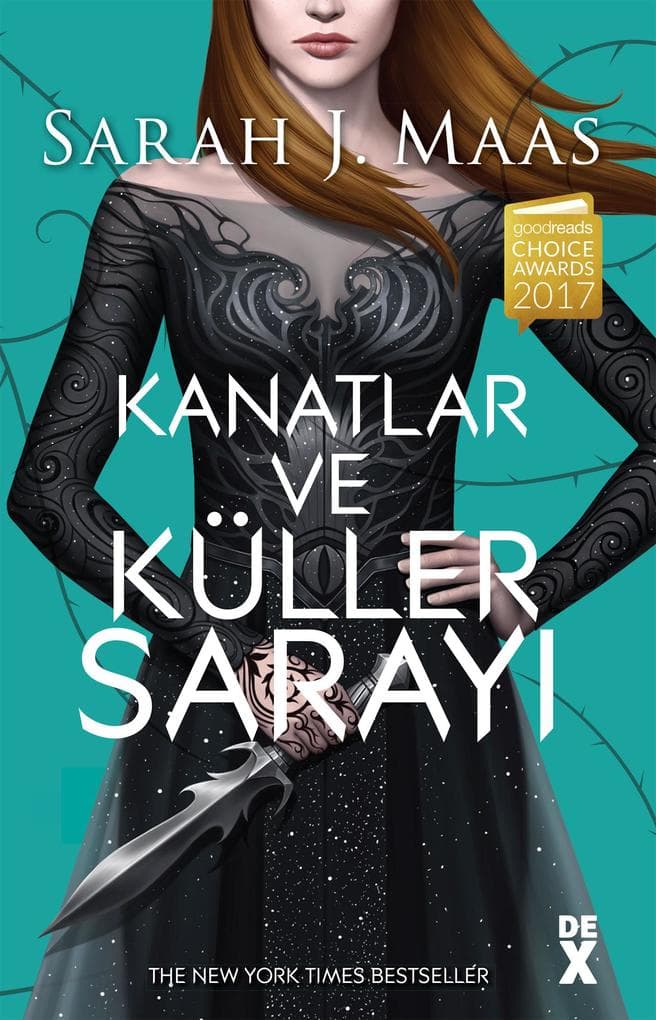 Dikenler Ve Güller Sarayi 3 - Kanatlar ve Küller Sarayi