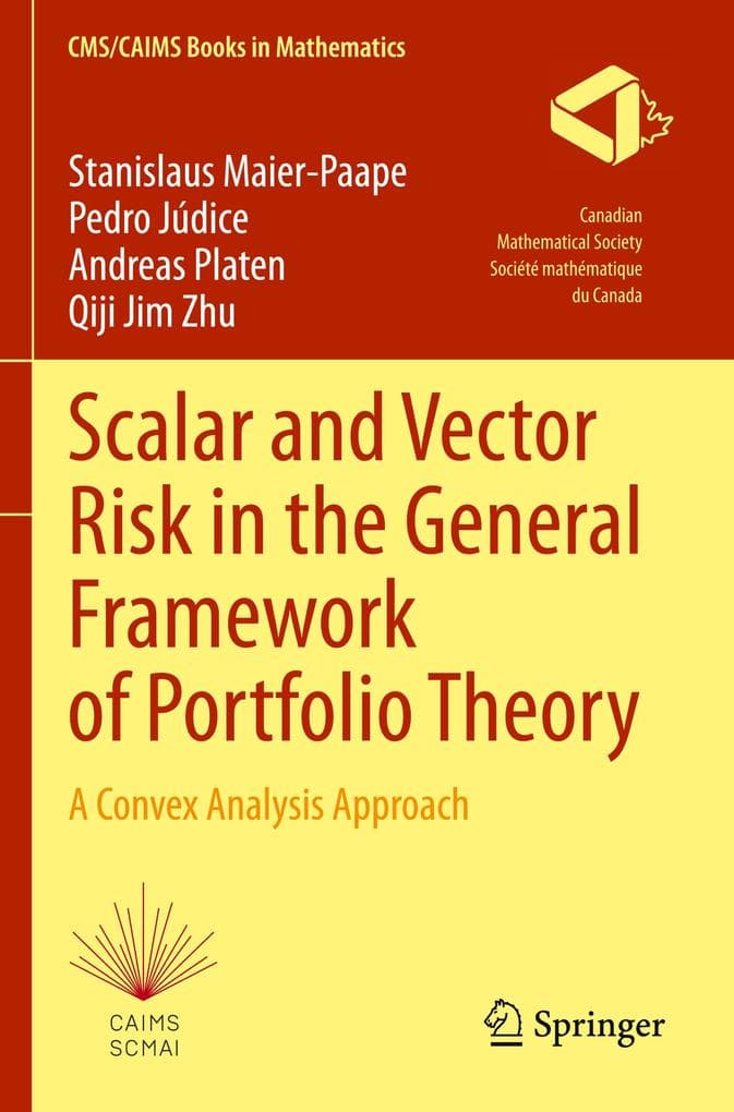 Scalar and Vector Risk in the General Framework of Portfolio Theory