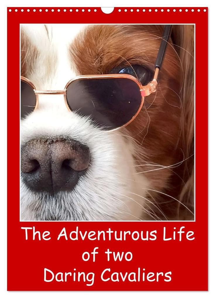 The Adventurous Life of two Daring Cavaliers (Wall Calendar 2025 DIN A3 portrait), CALVENDO 12 Month Wall Calendar