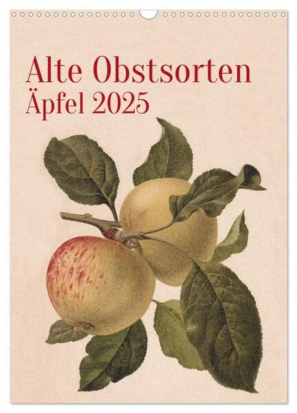 Alte Obstsorten - Äpfel 2025 (Wandkalender 2025 DIN A3 hoch), CALVENDO Monatskalender