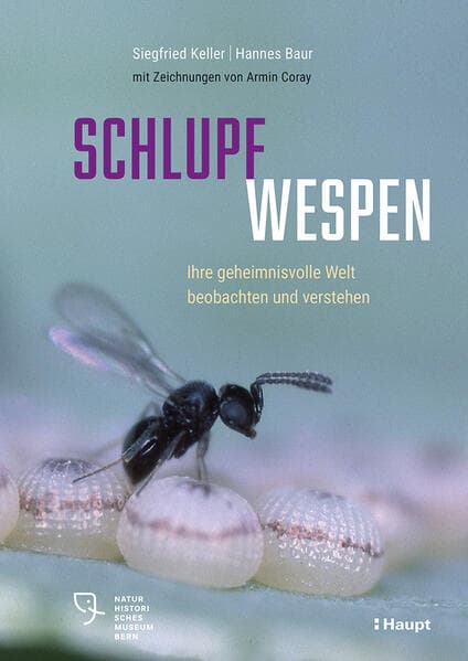 Schlupfwespen