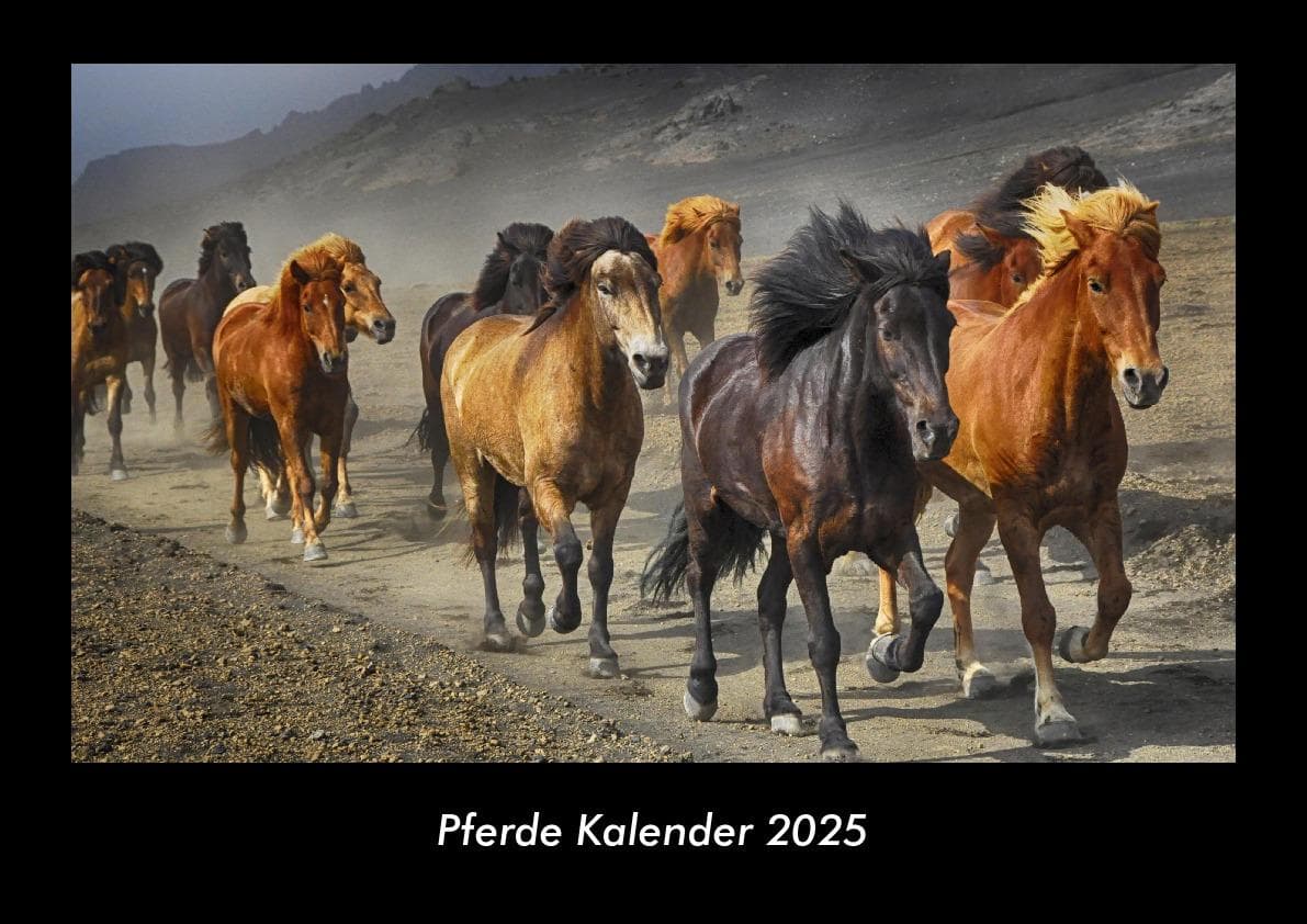 Pferde Kalender 2025 Fotokalender DIN A3