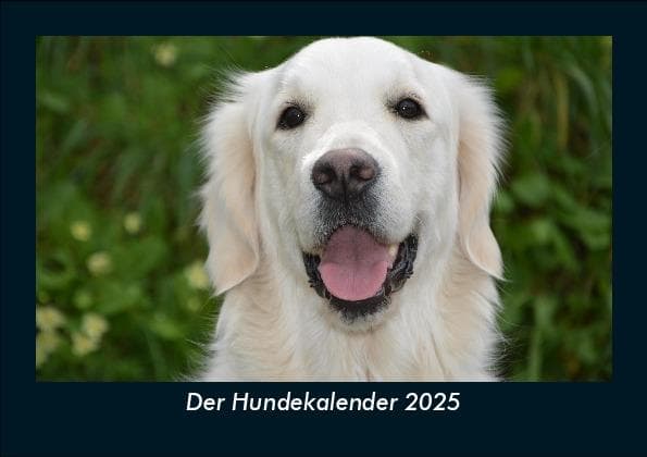 Der Hundekalender 2025 Fotokalender DIN A5