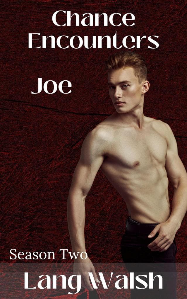 Chance Encounters: Season Two - Joe