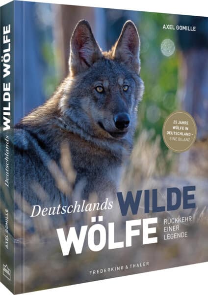 Bildband Wölfe - Begegnungen in freier Wildbahn: Deutschlands wilde Wölfe kehren zurück - Ein einmaliges Erlebnis von Wildnis und Natur mit 190 außergewöhnlichen Fotos