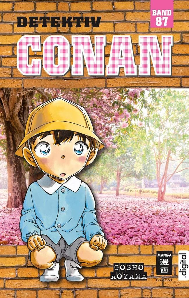 Detektiv Conan 87