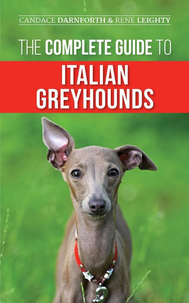 The Complete Guide to Italian Greyhounds