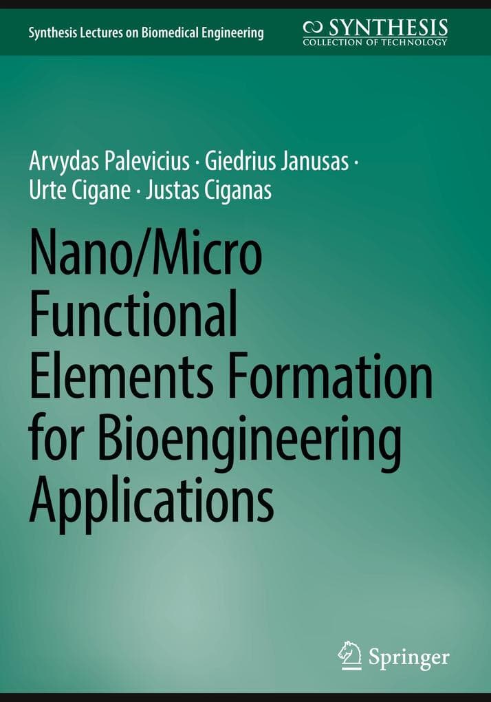 Nano/Micro Functional Elements Formation for Bioengineering Applications