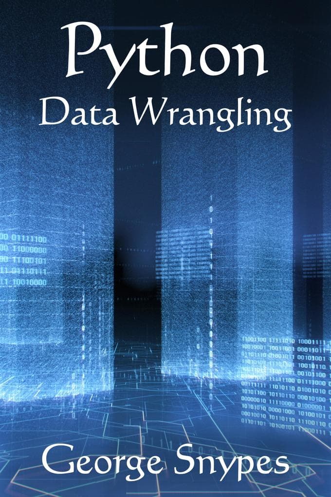 Python Data Wrangling for Business Analytics (Python for Business Analytics Series)