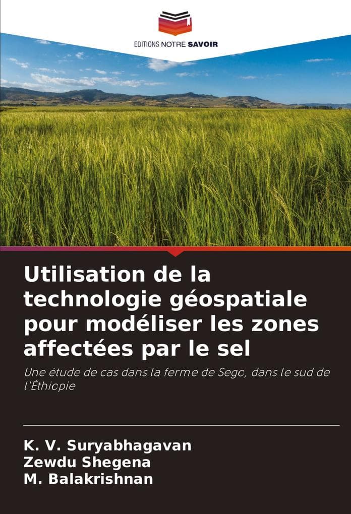 Utilisation de la technologie géospatiale pour modéliser les zones affectées par le sel
