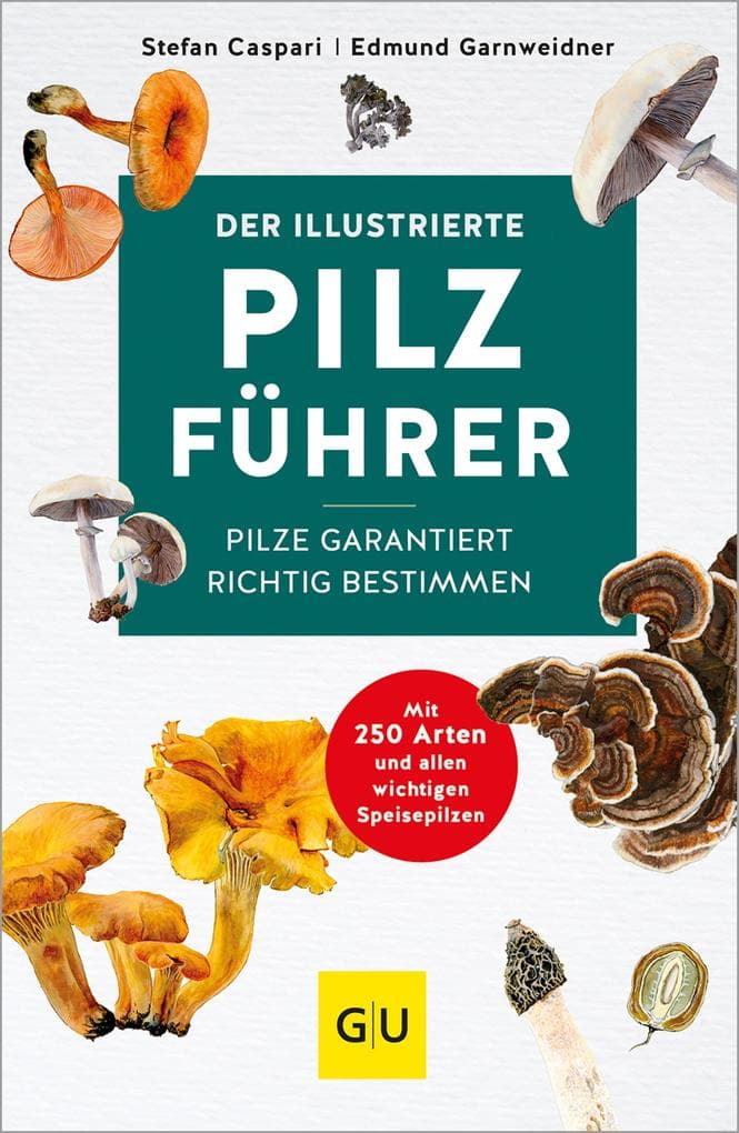 Der illustrierte Pilzführer