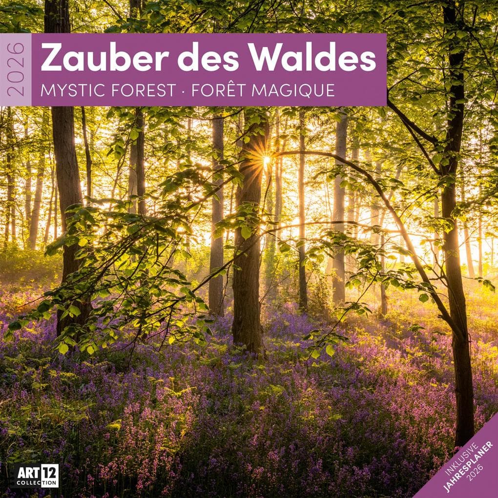 Zauber des Waldes Kalender 2026 - 30x30