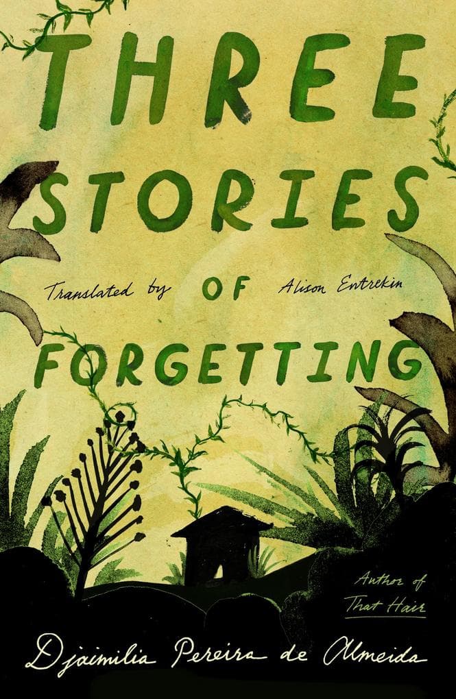 Three Stories of Forgetting