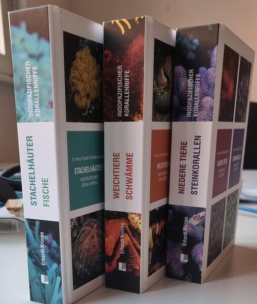 Steinkorallen/Niedere Tiere/Weichtiere/Schwämme/Stachelhäuter/Fische indopazifischer Korallenriffe