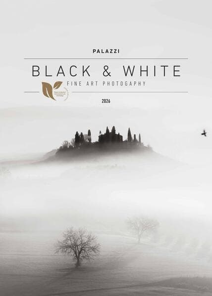 Black & White 2026 - Bildkalender 50x70 cm - Wandkalender XL - schwarz-weiß - Kunst - Hochformat - Palazzi