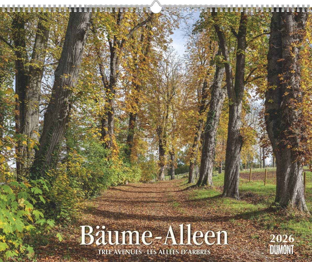 Bäume - Alleen 2026 - Wandkalender 52 x 42,5 cm - Spiralbindung