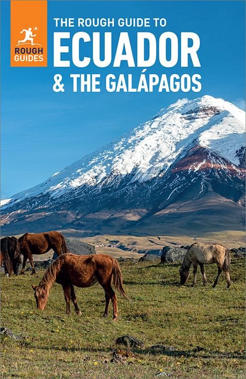 The Rough Guide to Ecuador and the Galapagos: Travel Guide eBook