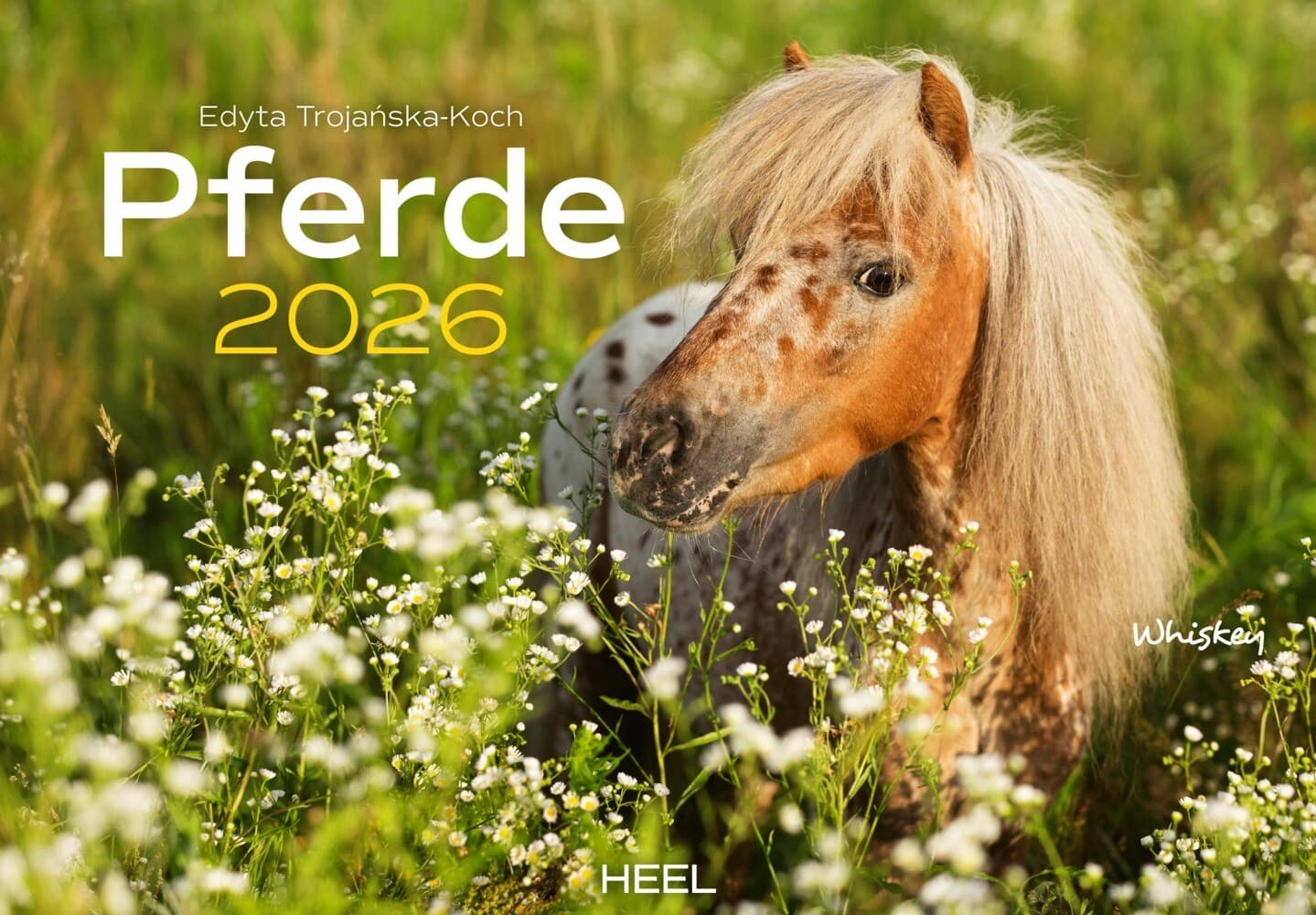 Pferde Kalender 2026 Wandkalender