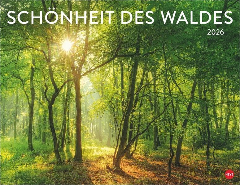Schönheit des Waldes Posterkalender 2026