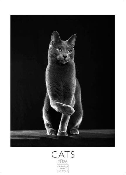 Cats 2025 L 59x42cm