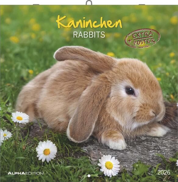 Kaninchen 2026 - Broschürenkalender 30x30 cm (30x60 geöffnet) - Kalender mit Platz für Notizen - Rabbits - Bildkalender - Wandplaner - Wandkalender