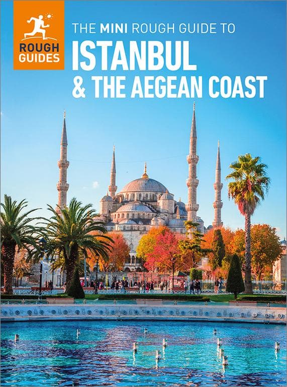 The Mini Rough Guide to Istanbul and the Aegean Coast: Travel Guide eBook