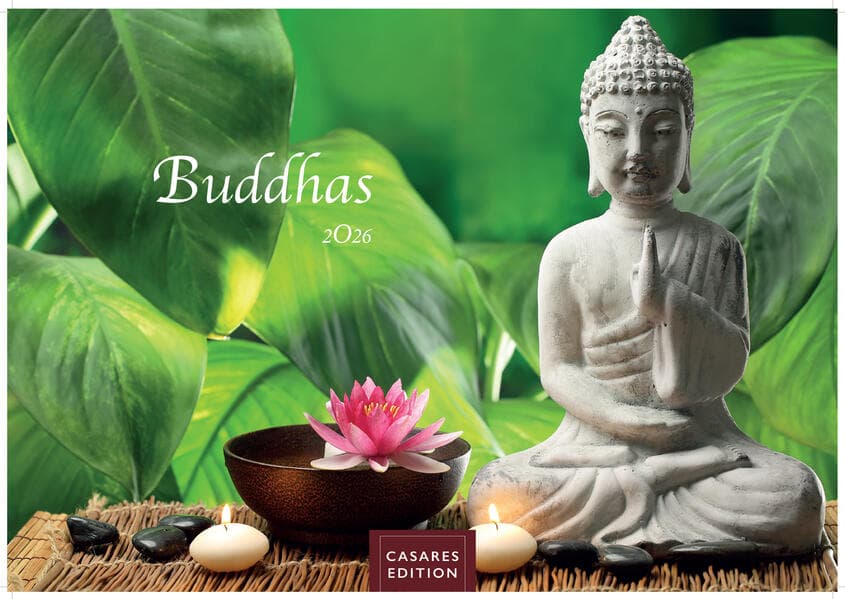 Buddhas 2026 L 35x50cm